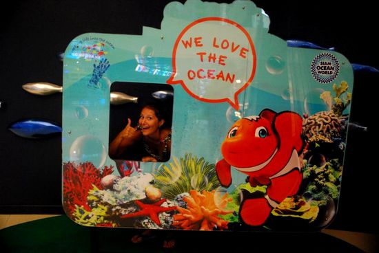 We love Nemo ... und haben ihn auf Koh Tao auch gesehen.