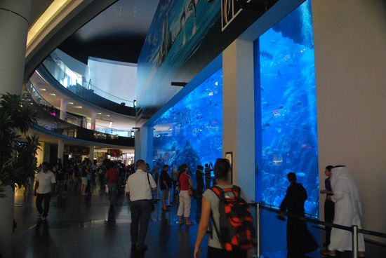 Aquarium in der "Big Dubai Mall"...
