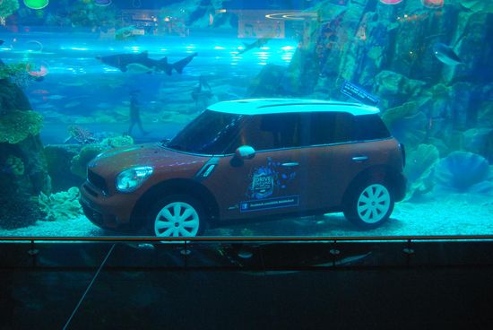 ...dort sind auch mal Autos auf dem Grund zu sehen.