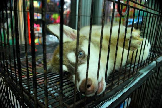 Der konnte einem echt Leid tun!