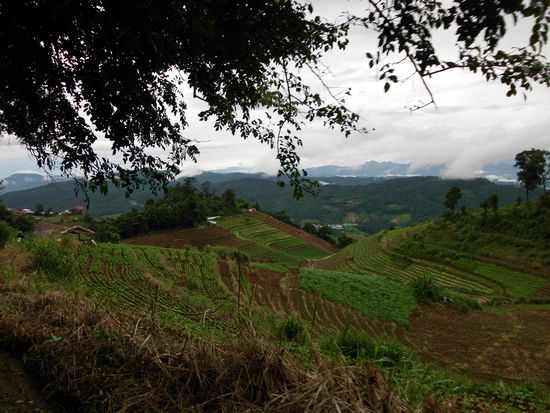 Chiang Mai ländlich!