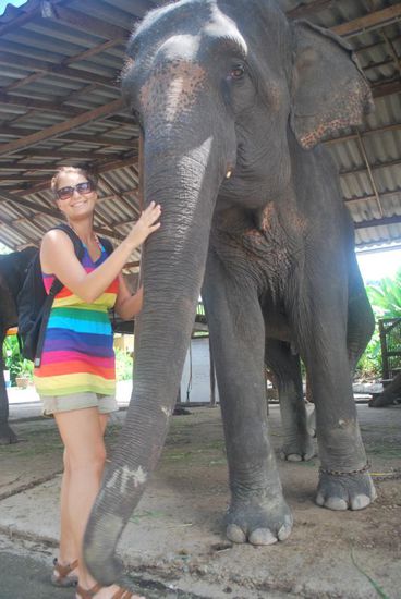 Der erste Kontakt...