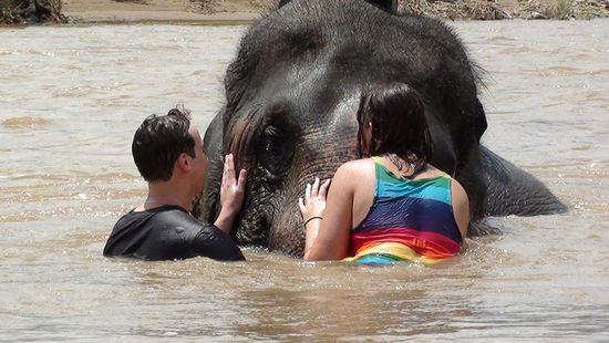 ...und kuscheln mit der warmherzigen Dickhäuterin.