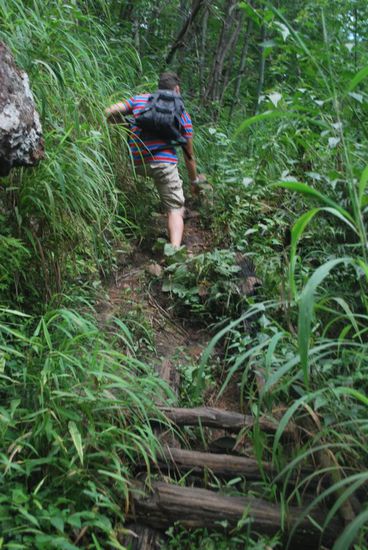 Schwei(sz)treibend...