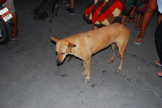 ... aber auch noch am Tag darauf war sehr entkräftet!