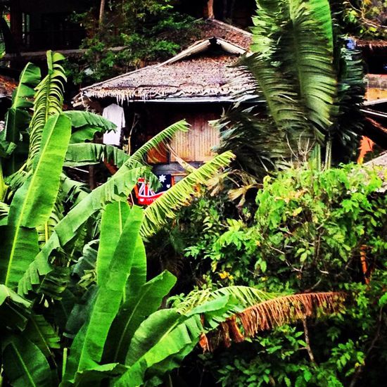 Unser Bungalow im Shambhala Resort