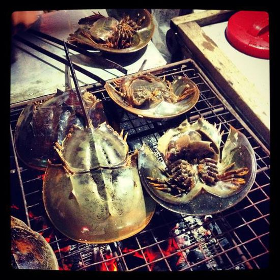 Krebse... wie die gegessen werden, wissen wir auch nicht...