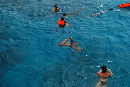 Die Schnorchler - Sophie muss ihre Haare richten 