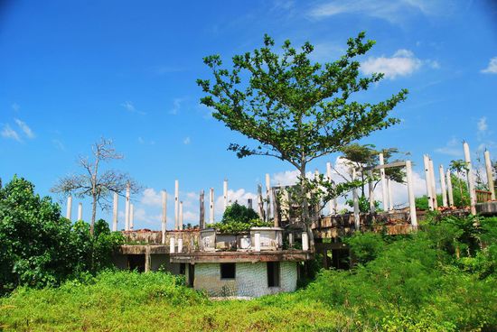 Die Natur holt sich langsam alles wieder zurück