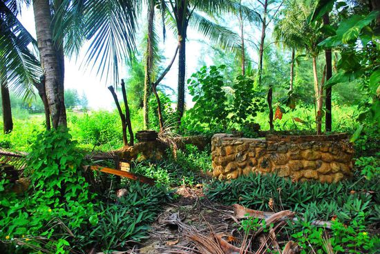 Blick zum Strand - ca. 20 Bungalows wurden von der Welle vernichtet