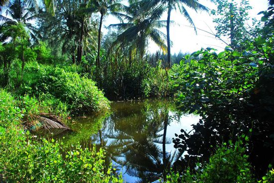 Der Pool - auch hier holt sich die Natur langsam wieder alles zurück
