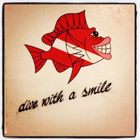 Dive with a smile 