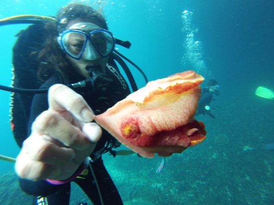 Dish mit einer klebrigen Schnecke 