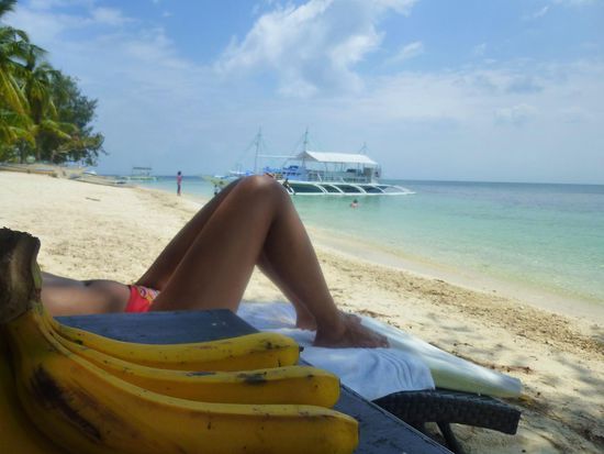 drei Bananen für "Schlomo"