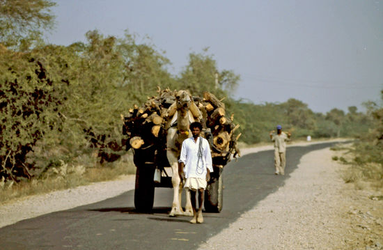 Verkehr in Rajasthan