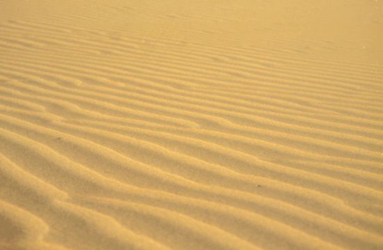 Desert Sand near Jaisalmer