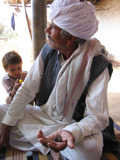 Überall begegnet man Opium in Rajasthan