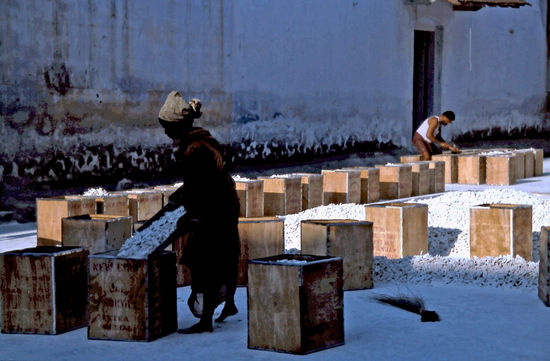 Ingwer Fabrik in Cochin