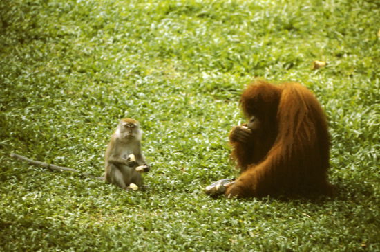 It's always more fun
to share with everyone!