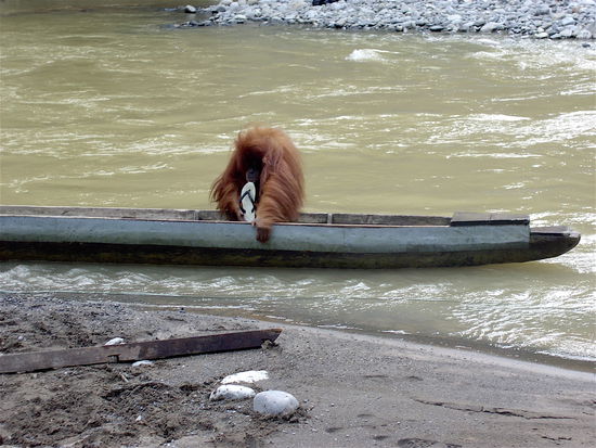 Unsere Schuhe sind am Besten!