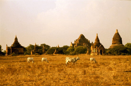 Bagan