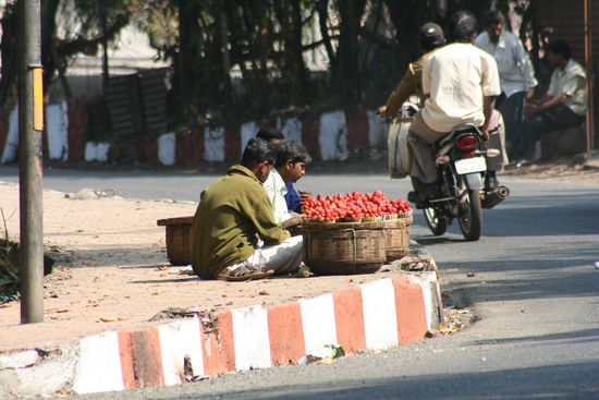 Die Erdbeeren aus Mahabaleshwar sind berühmt...