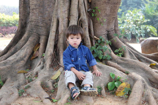 Der Botanische Garten in Jinghong ist sehr entspannend und schön!