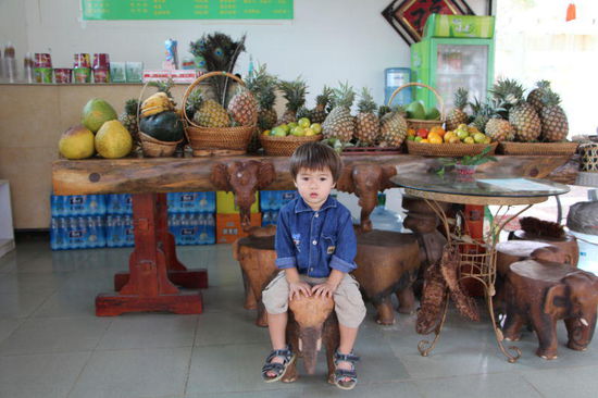 Ri Dai Shui Guo (Tropische Früchte)