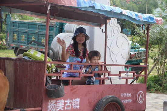 Eine Kuhkutschenfahrt