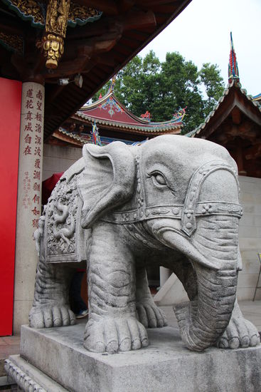 Elefant im Nanputuo Tempel