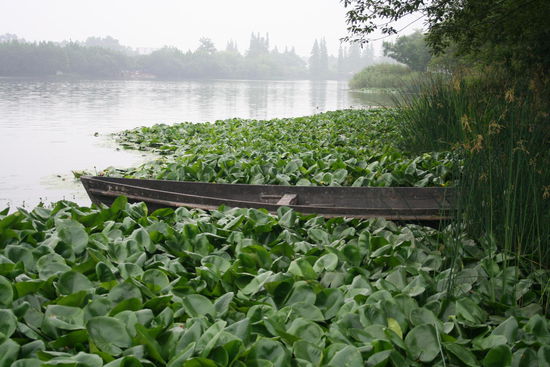 Der legendaere West Lake