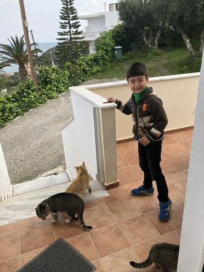 Unsere häufigen Besucher