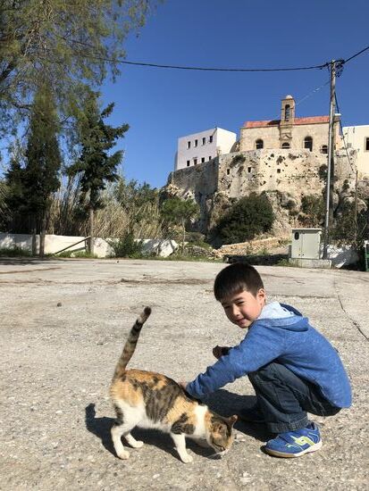 ...natürlich mit Katzen