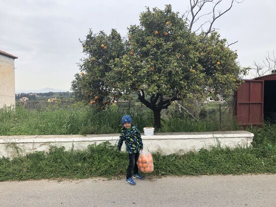 Wir kauften uns eine Tüte Orangen zum Selberpressen