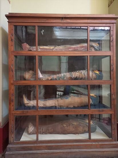 Mummies