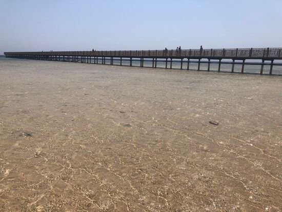 Ein sehr langer Steg führt vom Grand Makadi zum hauseigenen Riff - ein besonders tolles Riff