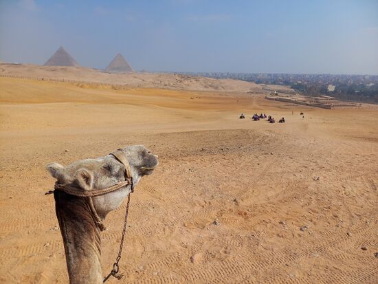 Auf dem Rückweg Richtung Giza - links die Pyramiden und vor uns Giza/Cairo