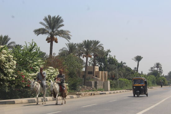 Von Saqqara ging es weiter nach Memphis - die Fahrten waren nie langweilig. Es gibt immer viel zu sehen.