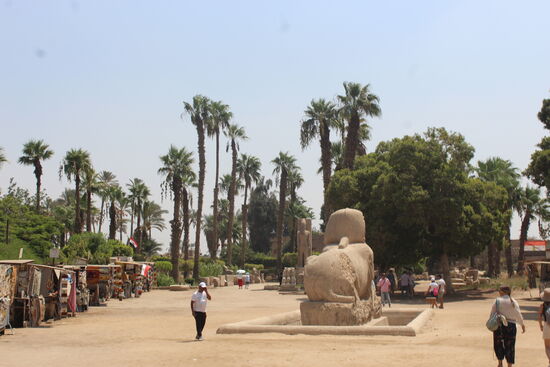 Achtung! Auch in Memphis müssen Tickets immer mit Kreditkarte bezahlt werden.