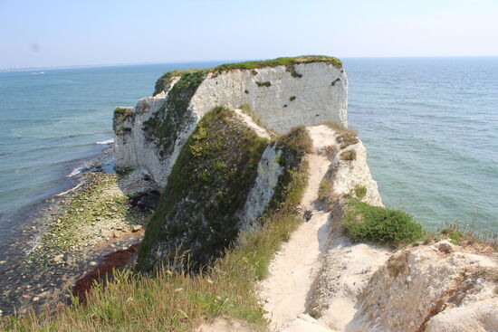 Irgendwann in den nächsten Tagen gingen wir dann noch einmal zu Old Harry Rocks, um es mal von oben und ganz ohne Kayak zu sehen. Was für ein schöner Ort.