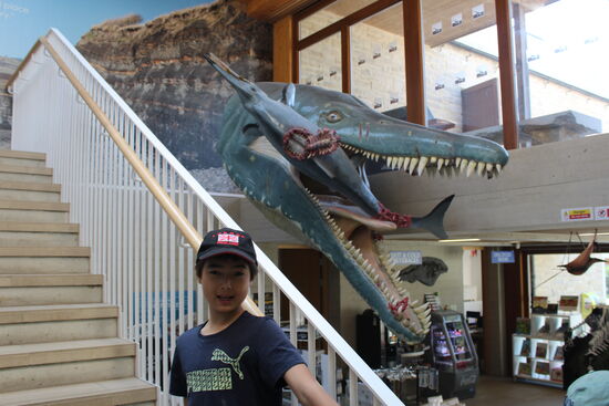 Das Museum ist sehr ansprechend und herzlich gestaltet. Sehr sehenswert. Die Ticketpreise sind ein wenig höher, aber dafür gibt es für Fossiliensammler, wie meinen Sohn günstige Fossilien zu kaufen.