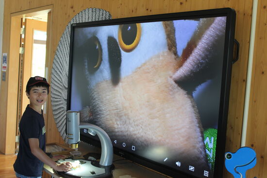 ...funktioniert auch mit mitgebrachten Eulen...