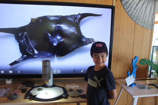 ...und Haifisch oder Rocheneiern...