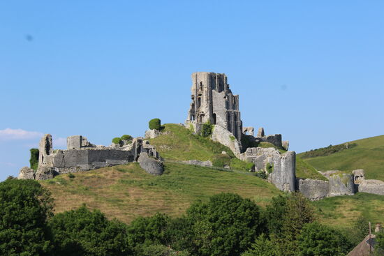 Auch Corfe Castle wurde im 9. Jahrhundert von Alfred dem Großen erbaut (also jetzt nicht selber...) Die Burg wurde dann von den Wikingern total zerstört und 100 Jahre später wieder aufgebaut. Später diente die Burg als königliche Residenz und als Schatzkammer. Auch die Kronjuwelen (aus Gangster-Oma (; ) wurden hier einmal aufbewahrt.
