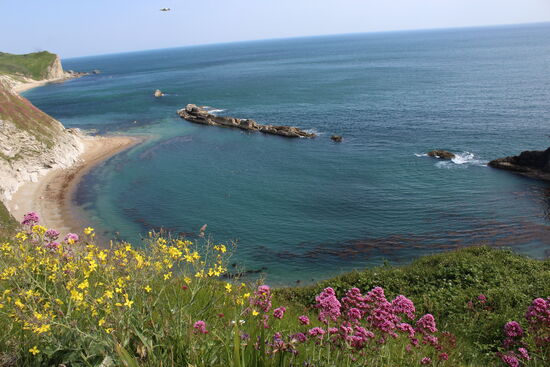 Genau da wollten wir unbedingt rein!!!