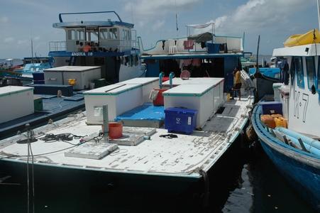 Fischerboote