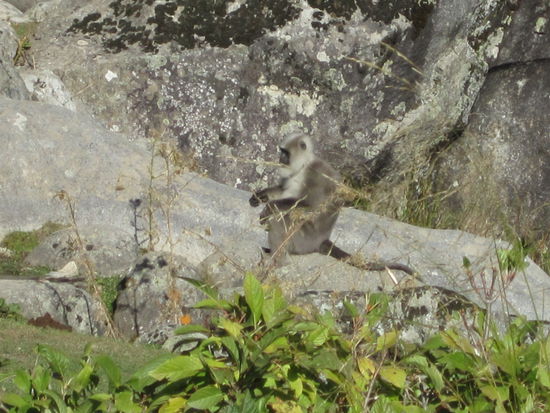 der Wecker, puenktlich vor 9 vorm zelt 