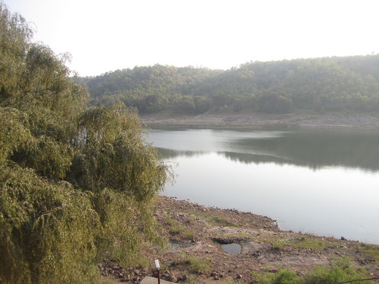 ... die Umgebung meines "neuen" Zuhauses ...