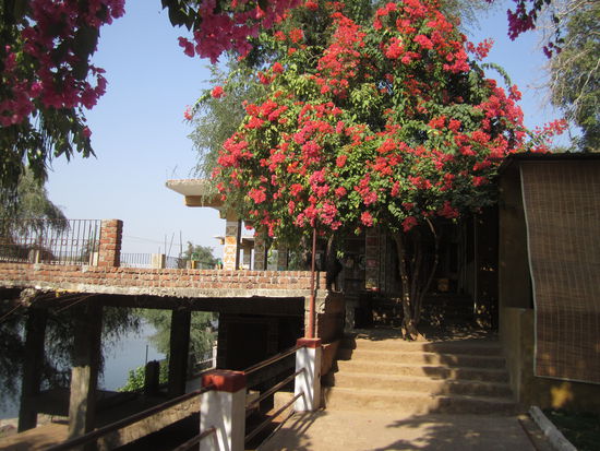 und da ganz hinten ist meine vorübergehende höhle 