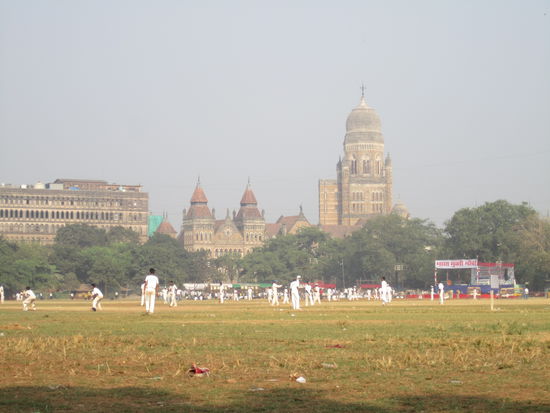 hier zwar keine, aber ... Palmen, viktorianische Gebäude, Hitze, trockenes Gras, Cricket, Falken statt Tauben ... so schön grotesk ...